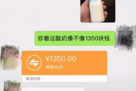 张家界如果欠债的人消失了怎么查找，专业讨债公司的找人方法